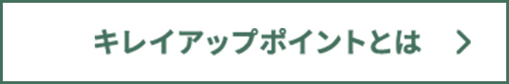 キレイアップポイントとは