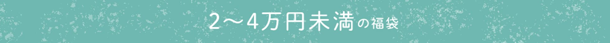 2~4万円未満の福袋