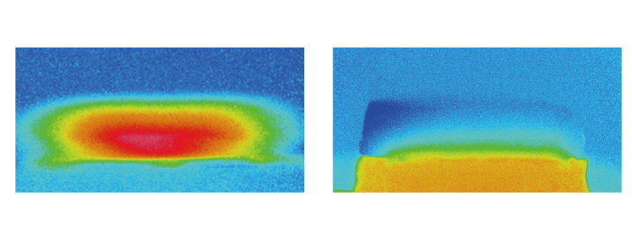 寒天での実験