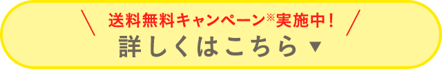 送料無料キャンペーン実施中！