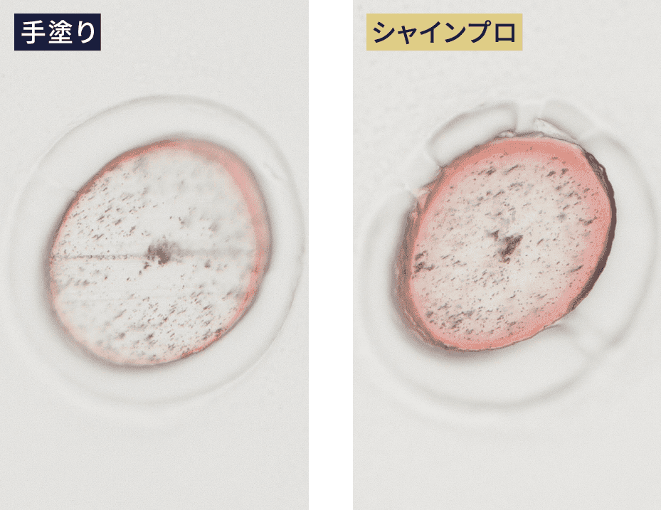 手塗りとシャインプロ比較