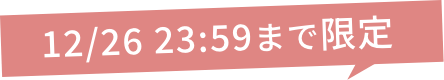 12/26 23:59まで限定